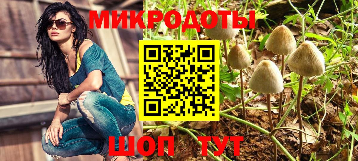 Кандалакша  Галлюциногенные грибы прущие грибы  Вход с VPN  Галлюциногенные грибы GOLDEN TEACHER 
